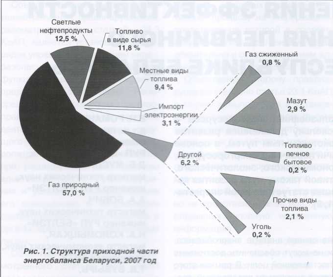 Диаграмма топлива. Местные виды топлива. Диаграмма использования топлива виды топлива. Энергетические ресурсы Беларуси. Виды топлива в России.